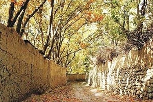 تهران و باغ‌های گمشده‌اش